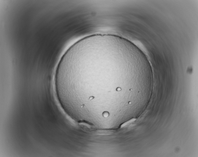 X0000102411440200808151955