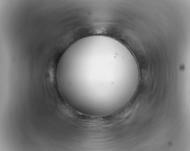 X0000102411442200808151955