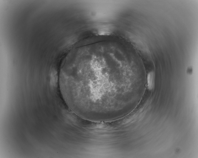 X0000102411443200808151955