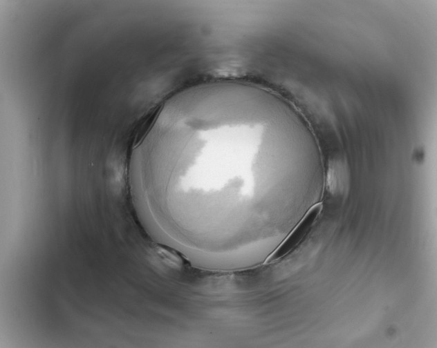 X0000102411444200808151955