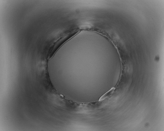 X0000102411445200808151955