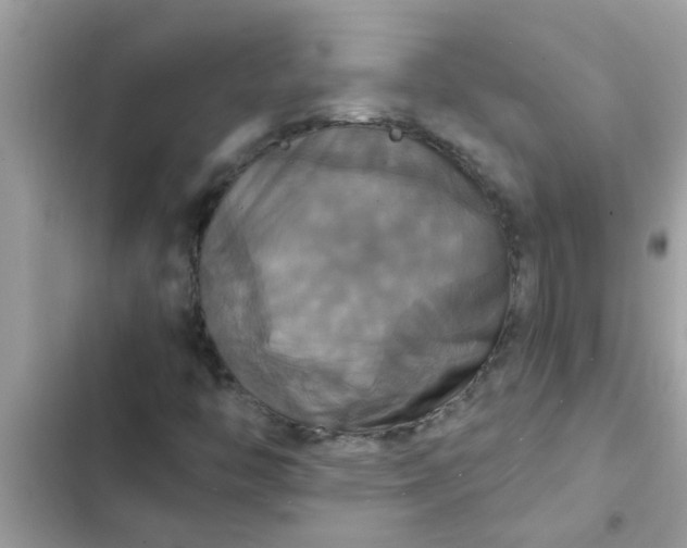 X0000102411446200808151955