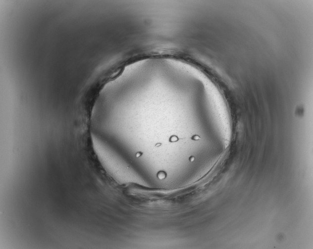 X0000102411447200808151954