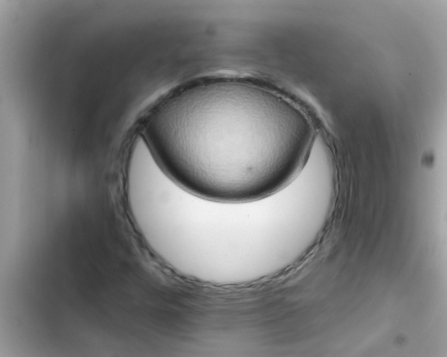 X0000102411448200808151954