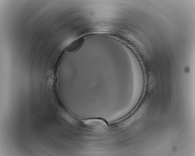 X0000102411449200808151954