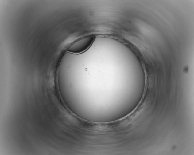 X0000102411451200808151954