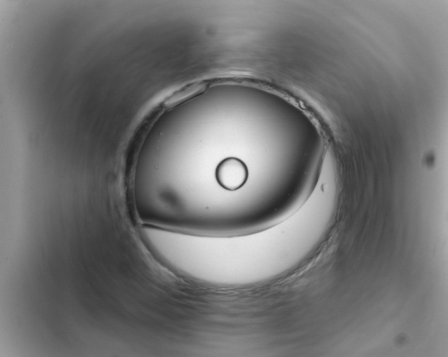 X0000102411452200808151954