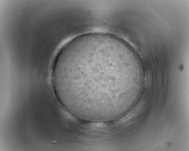 X0000102411454200808151954