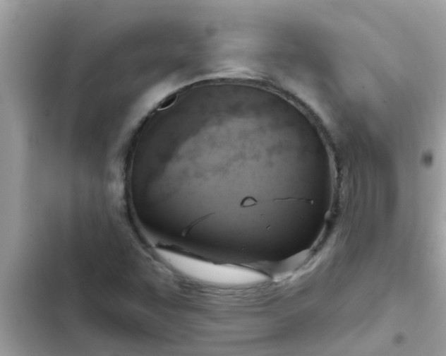 X0000102411455200808151954