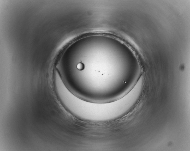 X0000102411456200808151954