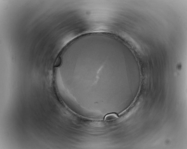 X0000102411457200808151954