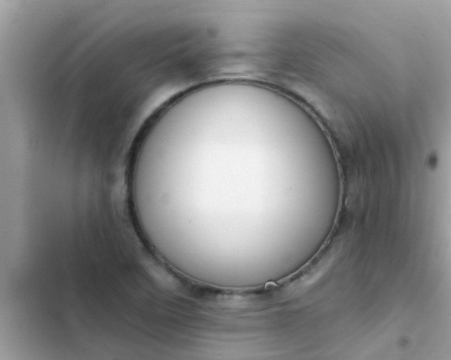 X0000102411458200808151954