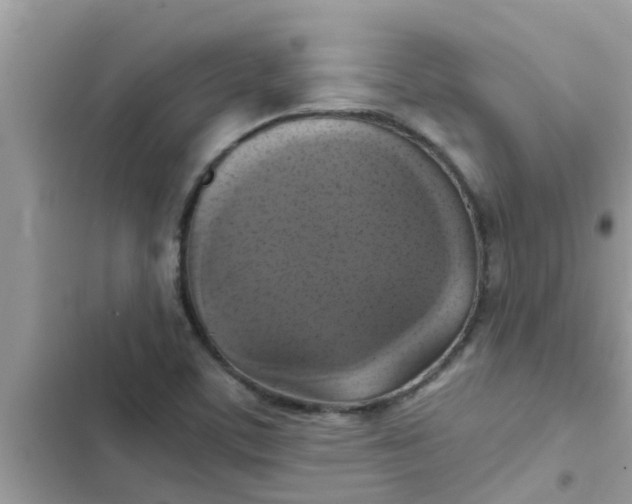 X0000102411459200808151954