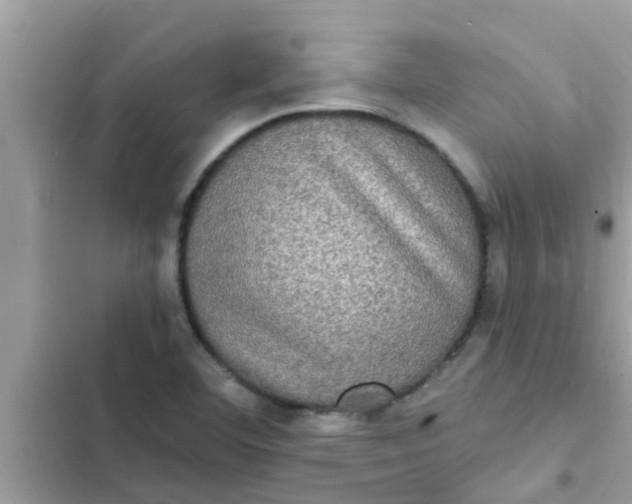 X0000102411460200808151954