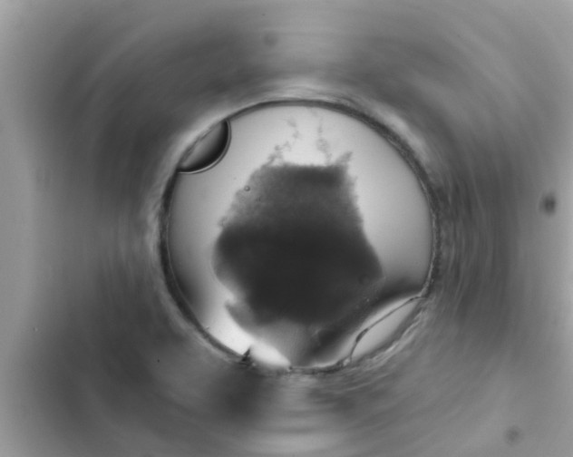 X0000102411463200808151954