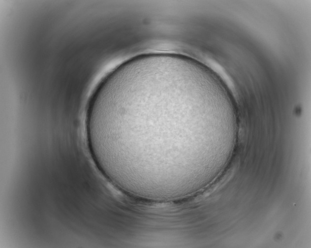 X0000102411464200808151954