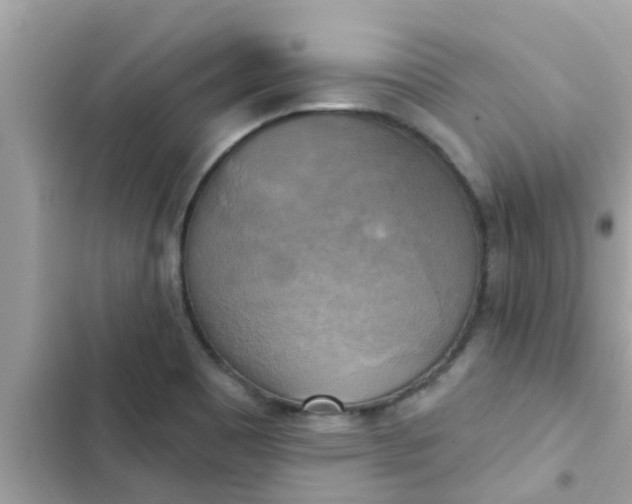 X0000102411465200808151954