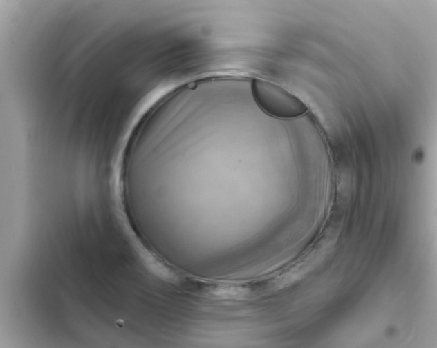 X0000102411466200808151954