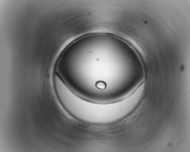 X0000102411468200808151954