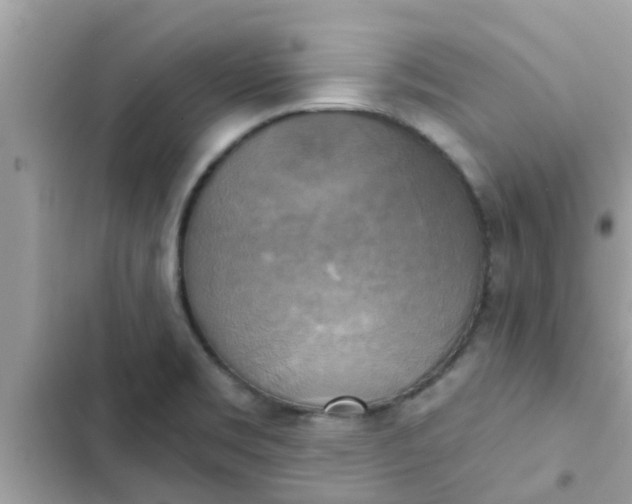 X0000102411469200808151954