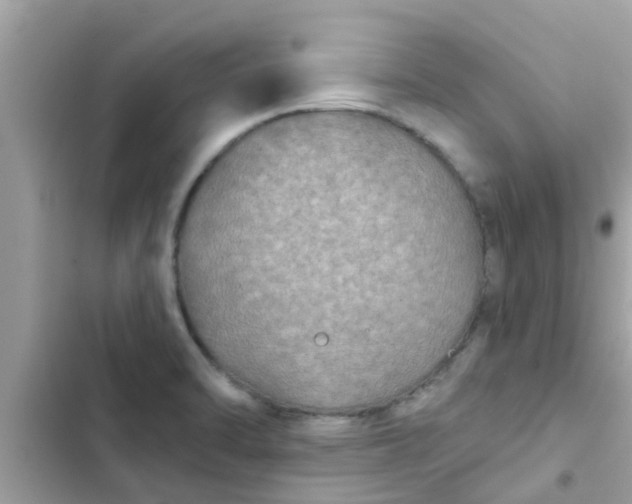 X0000102411470200808151954