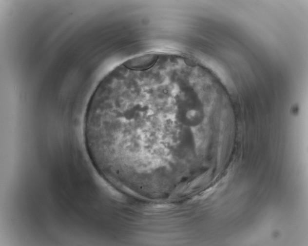 X0000102411471200808151954