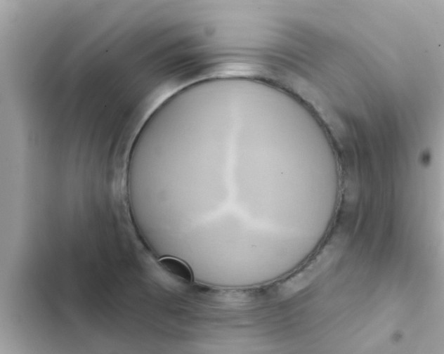 X0000102411473200808151954