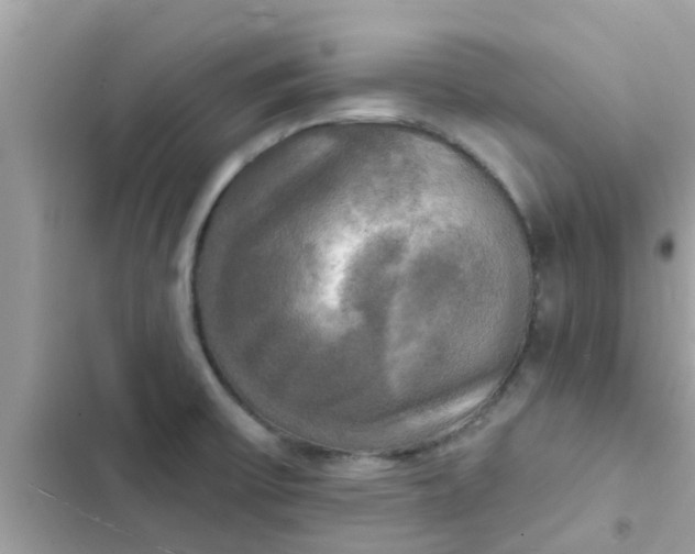 X0000102411475200808151954