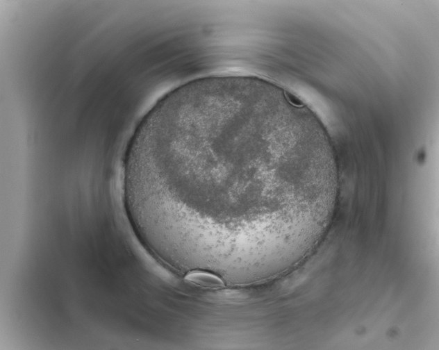 X0000102411476200808151954