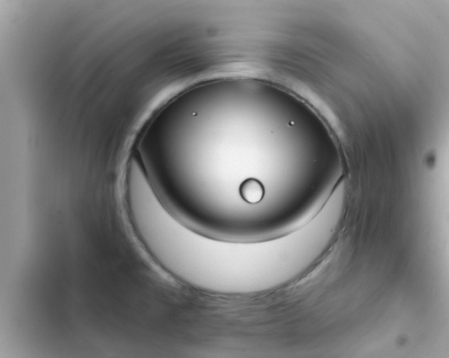 X0000102411477200808151954