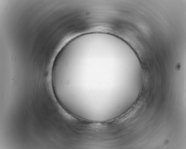 X0000102411478200808151954