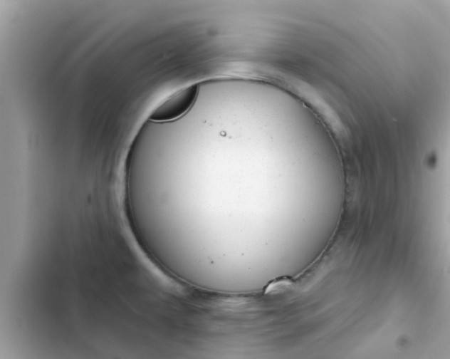 X0000102411479200808151954