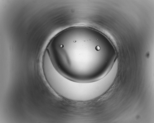 X0000102411480200808151954