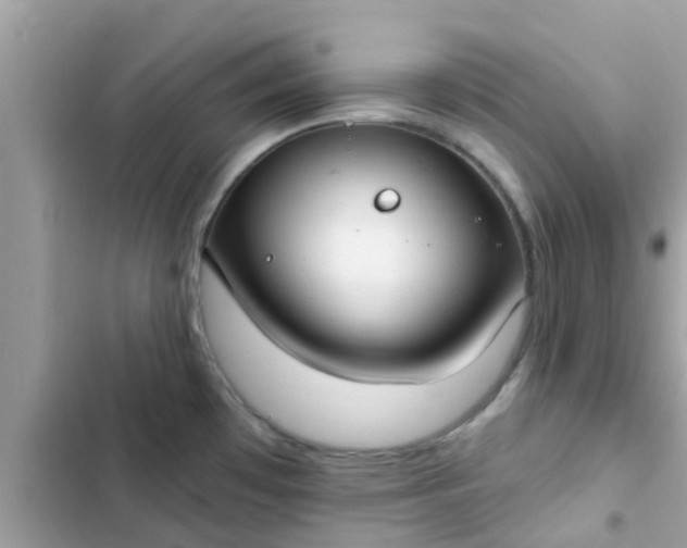 X0000102411481200808151954