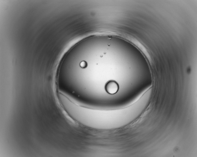 X0000102411485200808151954