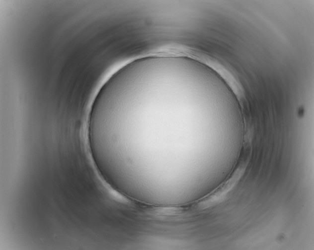 X0000102411486200808151954