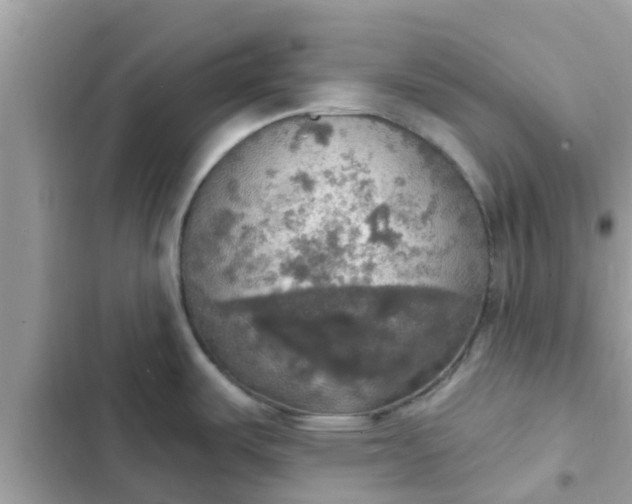 X0000102411487200808151954