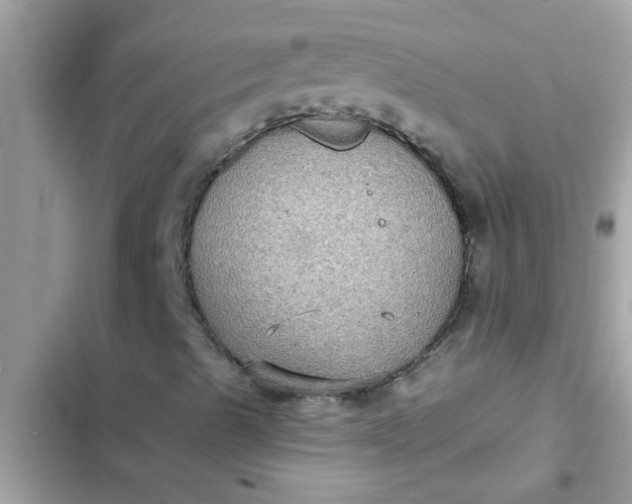 X0000102411489200808151953