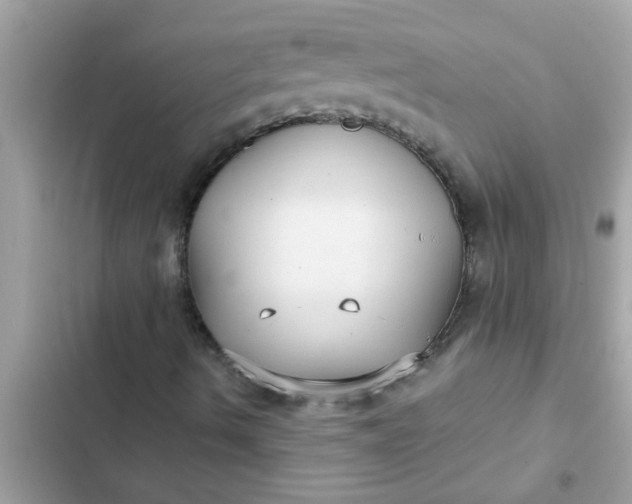 X0000102411490200808151953