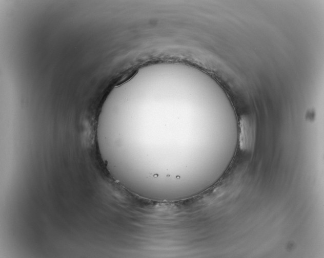 X0000102411491200808151953