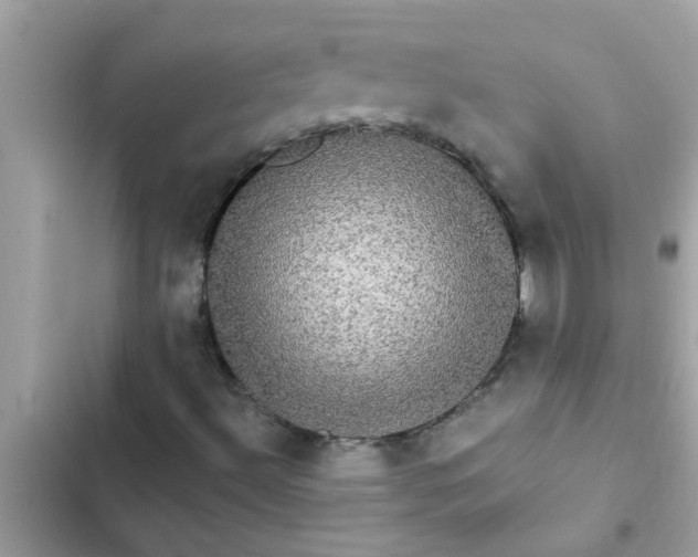 X0000102411492200808151953