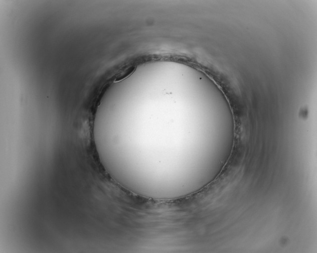 X0000102411493200808151953