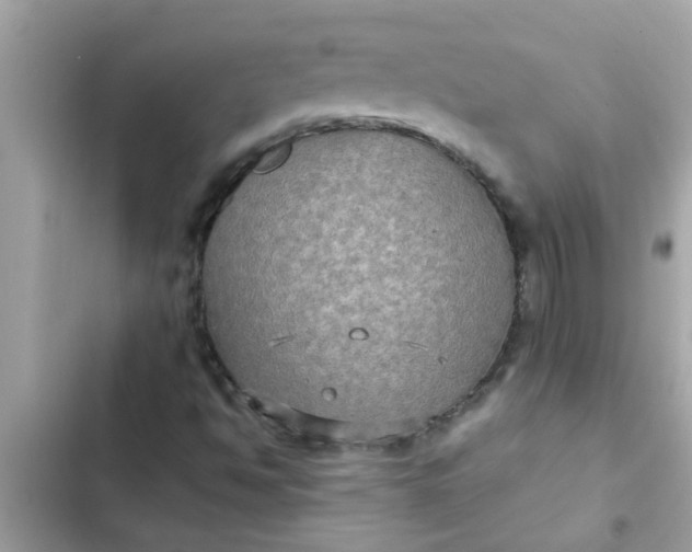 X0000102411494200808151953