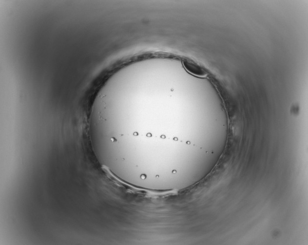 X0000102411495200808151953