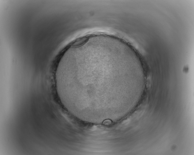 X0000102411496200808151953