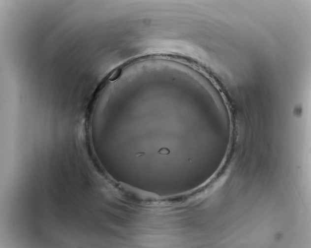 X0000102411497200808151953