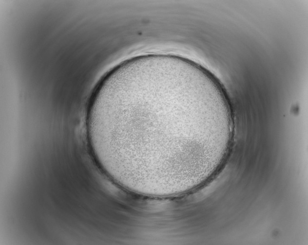 X0000102411498200808151953