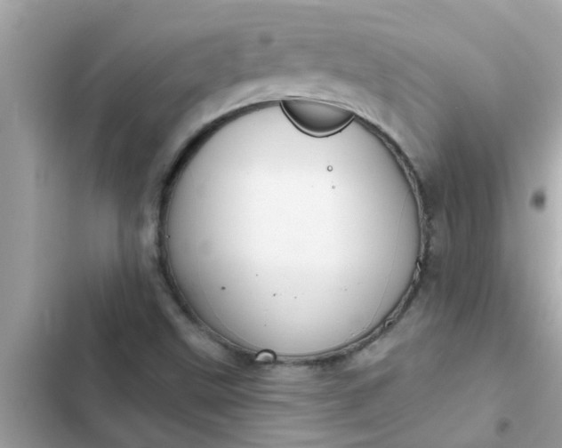 X0000102411499200808151953