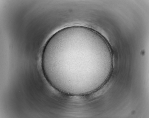 X0000102411500200808151953