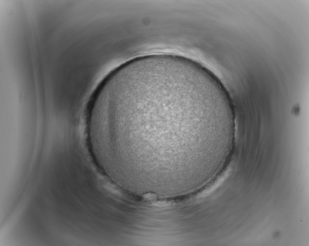 X0000102411501200808151953